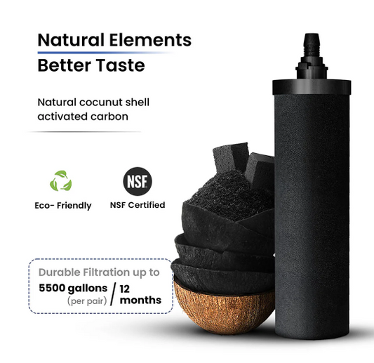 Phoenix Gravity New Millennium Edition™ Filter Elements